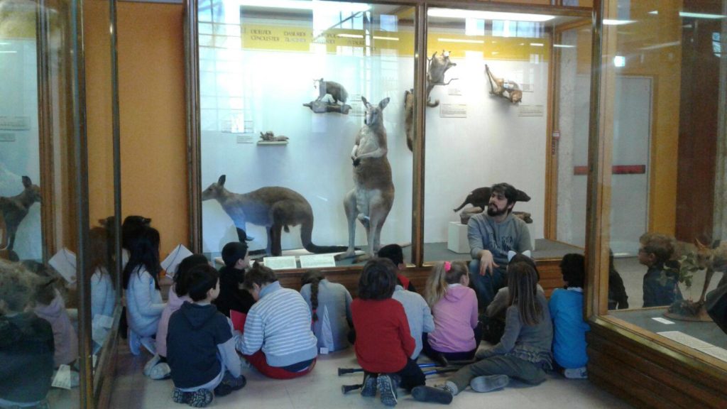 Visita al Museo di storia naturale di Milano